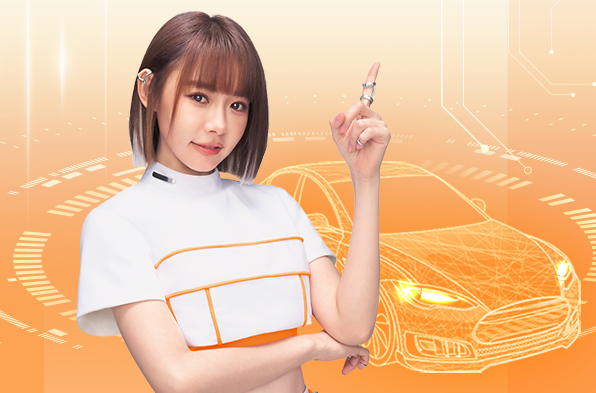 Electric Vehicle Owner Exclusive Offer